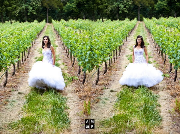 Twp pictures of a bride standing in a field by Anneli Marinovich Photography