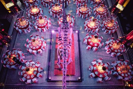 Aerial shot of a Natural History Museum Wedding Reception