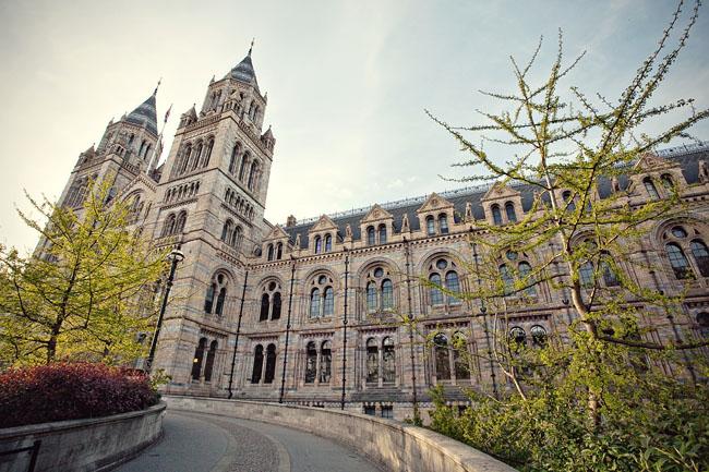 The Natural History Museum