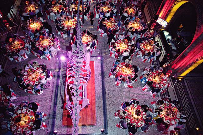 Aerial shot of a Natural History Museum Wedding Reception