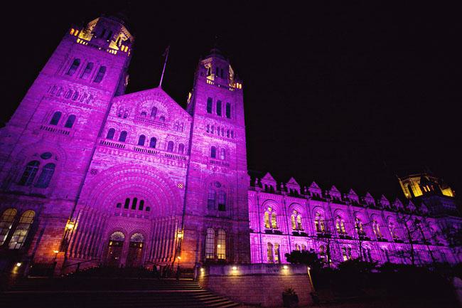 The Natural History Museum at Night