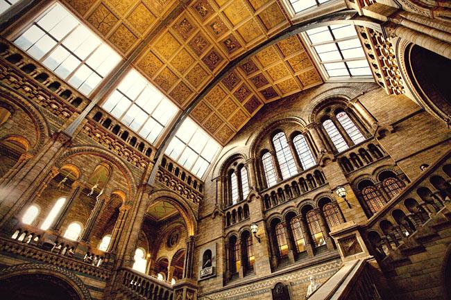 Inside the Natural History Museum