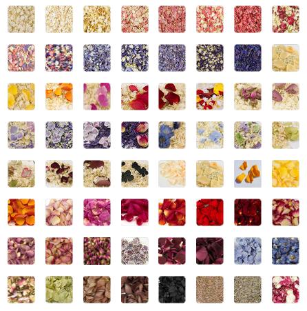 Shropshire Petals Pick 'n' Mix Natural Petal Confetti