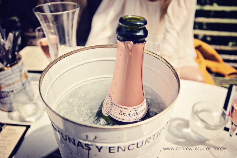 Bottle of Champagne in an ice bucket by Andrew J R Squires Photography