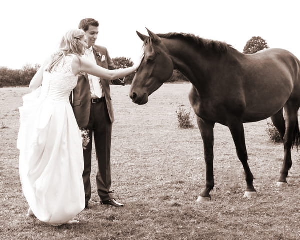 Bride and groom stroking a horse - Picture by Rebecca Wedding Photography