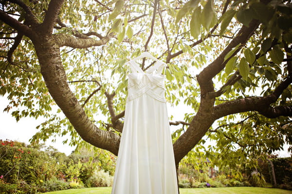 Wedding dress hanging in a tree - Picture by Andrew J R Squires Photography