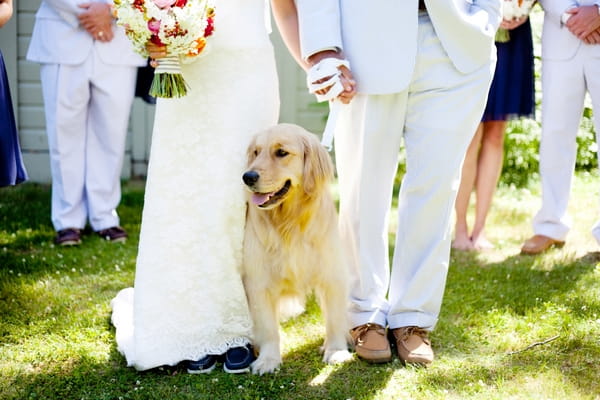 Bride, groom and dog at wedding - Picture by Laura Ivanova Photography