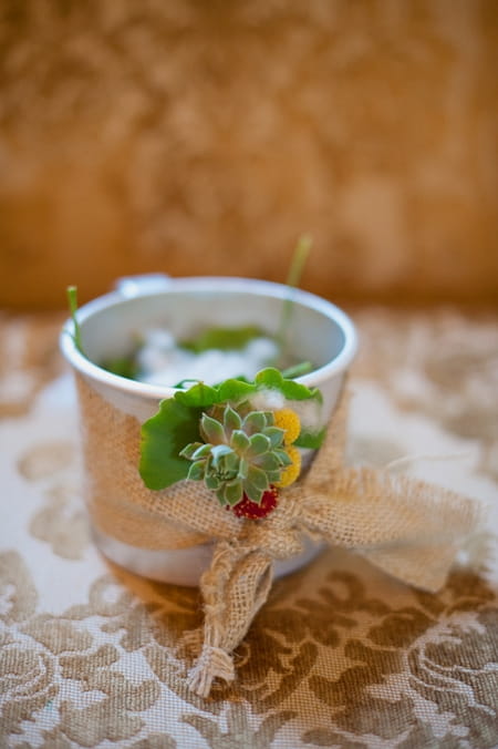 Succulent wedding decoration - Picture by Rojo Foto Design