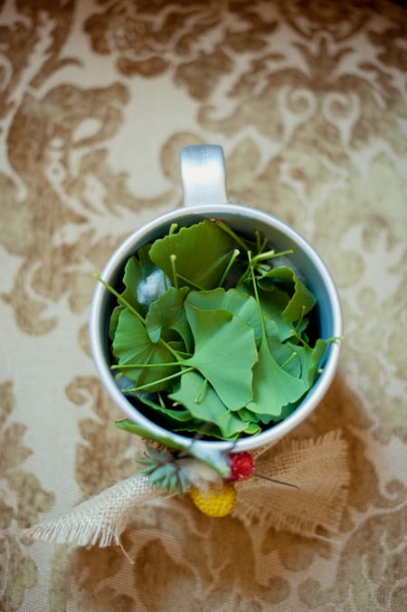 Cup of green leaves - Picture by Rojo Foto Design