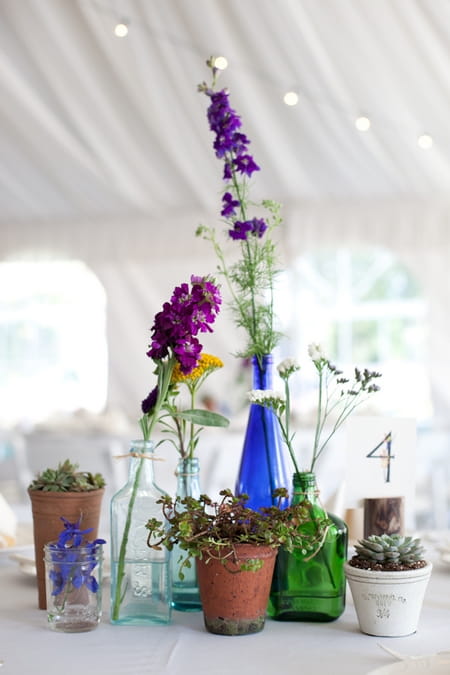 Bottles and pot plants on wedding table - Picture by Levi Stolove Photography