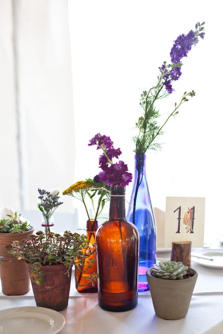 Wedding table with pot plants and coloured bottles - Picture by Levi Stolove Photography