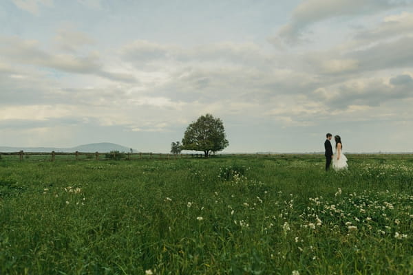 Bride and groom standing in a field with tree - Picture by Jonas Peterson Photography