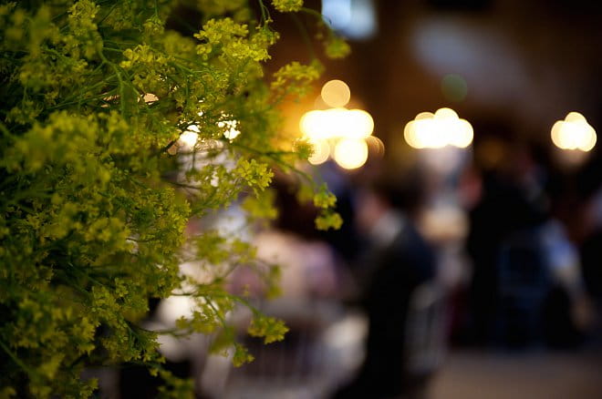 Wedding reception foliage - Picture by Gill Maheu Photography