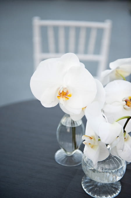 Orchid table flowers - Picture by Yvette Roman Photography