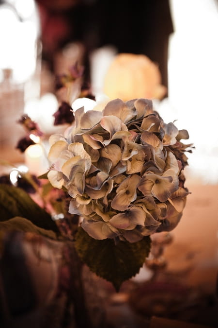 Hydrangea wedding flowers - Picture by Archibald Photography