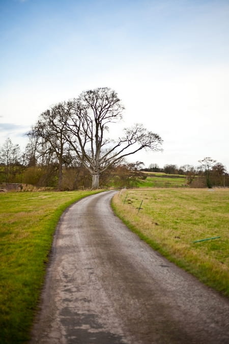 Somerford Hall driveway - Picture by Anneli Marinovich Photography