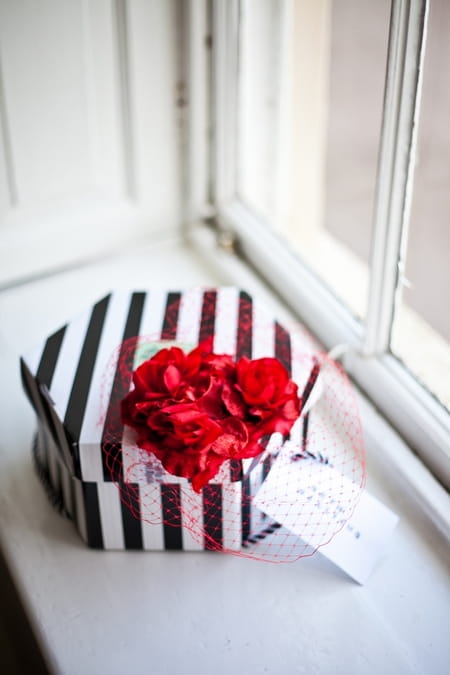 Red birdcage fascinator - Picture by Anneli Marinovich Photography