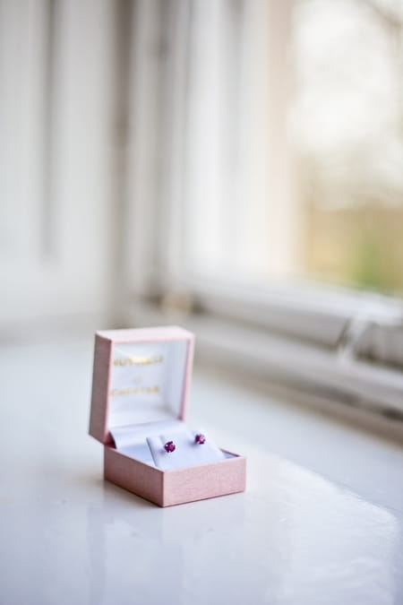 Purple earrings - Picture by Anneli Marinovich Photography