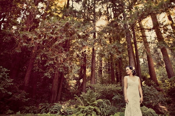 Bride in woods of Santa Cruz Mountains - Picture by Paco and Betty