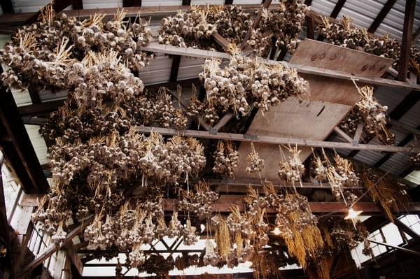 Foliage hanging from top of barn - Picture by Judy Pak Photography