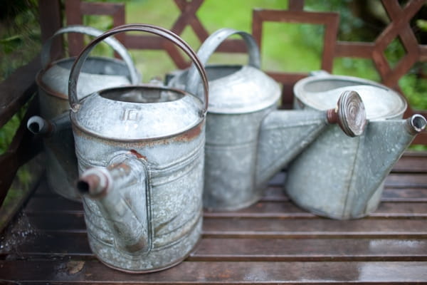 Metal watering cans - Picture by Judy Pak Photography