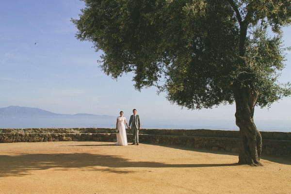 Bride and groom standing under a tree in Corsica - Picture by DanielRM
