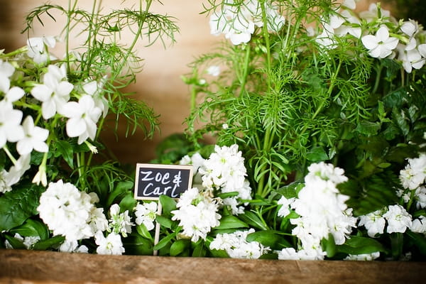 Close up of white flowers - A Beautiful Garden Party Wedding at Lains Barn