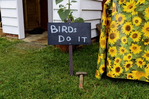 Birds do it chalk board sign