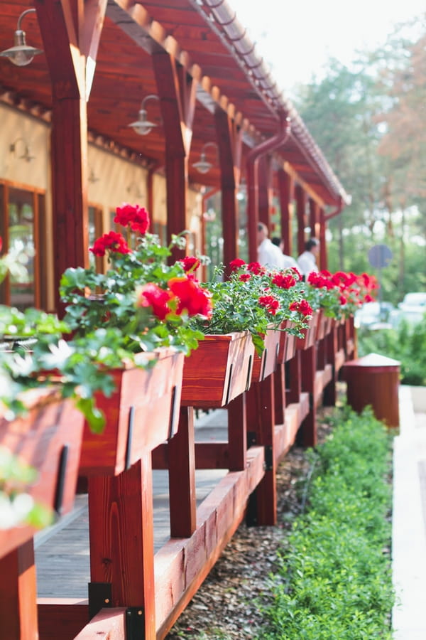 Hanging baskets - A Spring Themed Wedding in Hungary