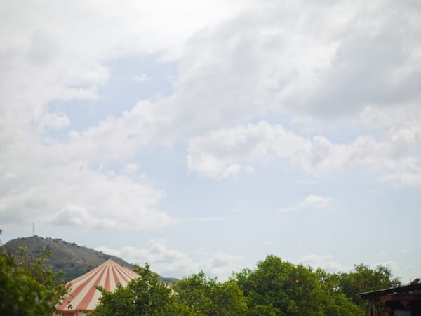 Top of circus tent seen through top of trees