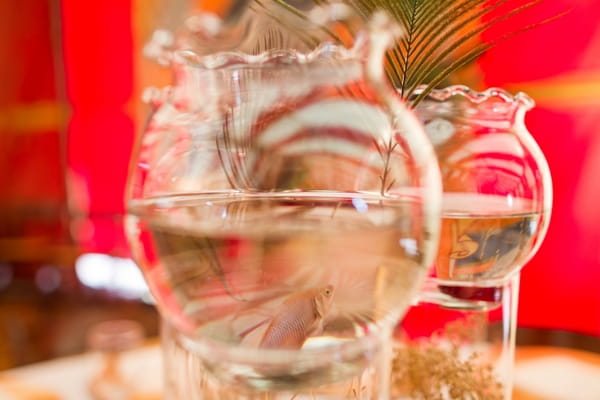 Glass table centrepiece with fish