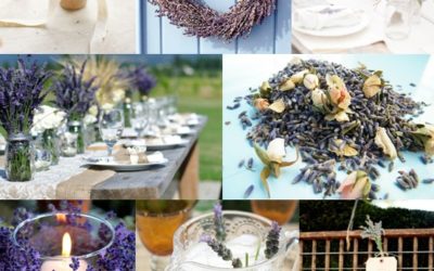 Lavender Wedding Ideas