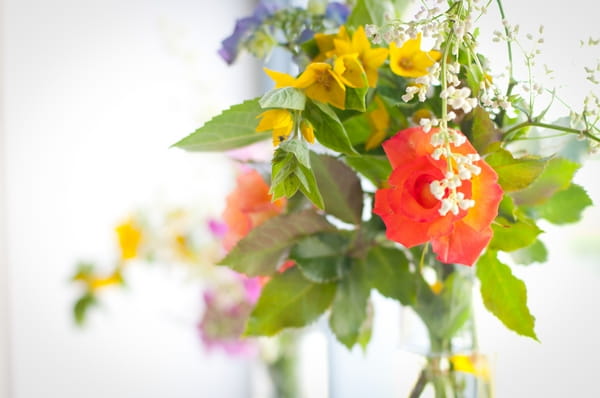 Yellow and orange flowers