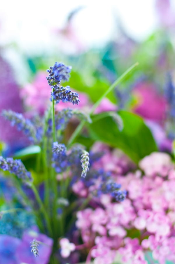 Coloured flowers in wedding bouquet