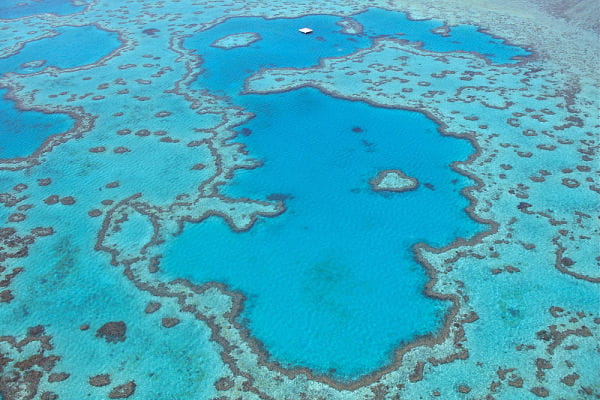 Heart Reef, Whitsunday Islands, Australia