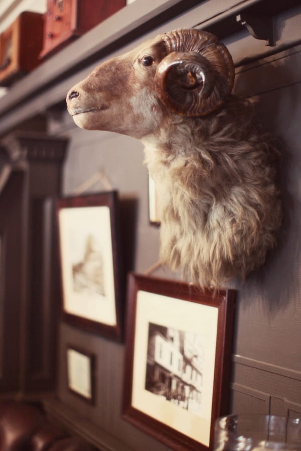 Animal head on pub wall