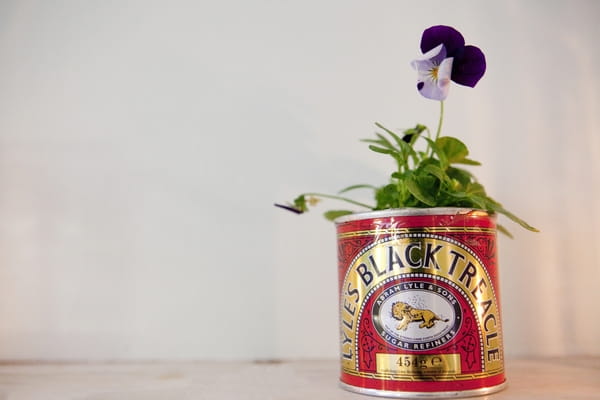 Flower in Black Treacle tin