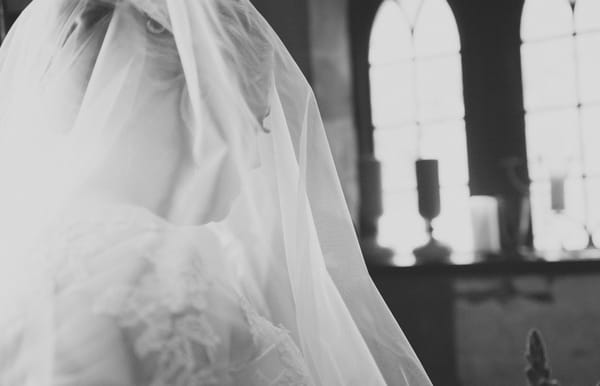 Bride with veil