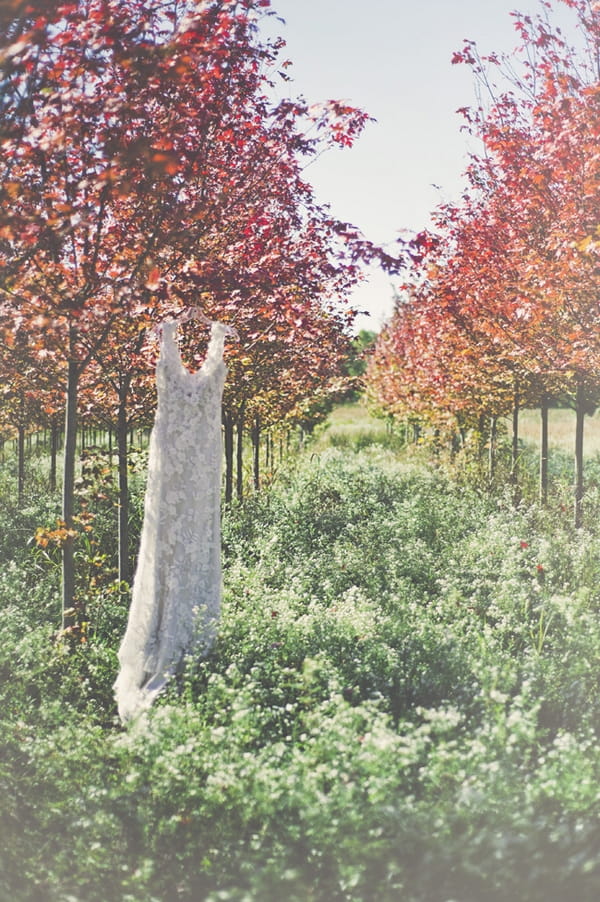 Wedding dress hanging in tree