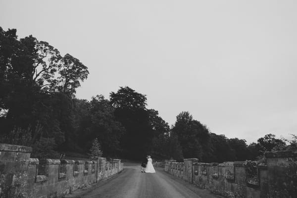 Bride and groom on bridge