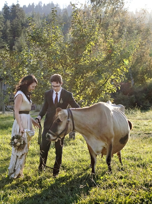 Bride and groom with cow in field