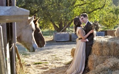 A Simple, Romantic Wedding on an Apple Farm