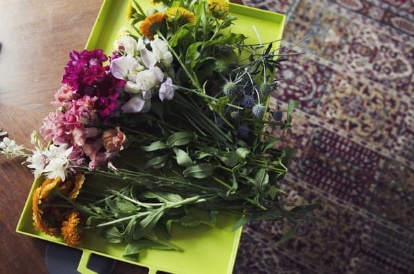 Freshly picked flowers