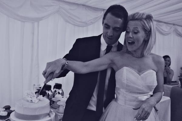 Bride and groom cutting cake