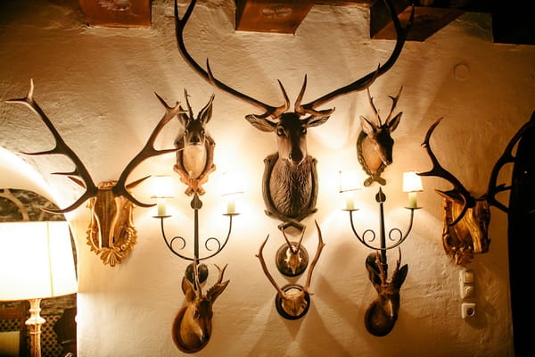 Deer heads on wall