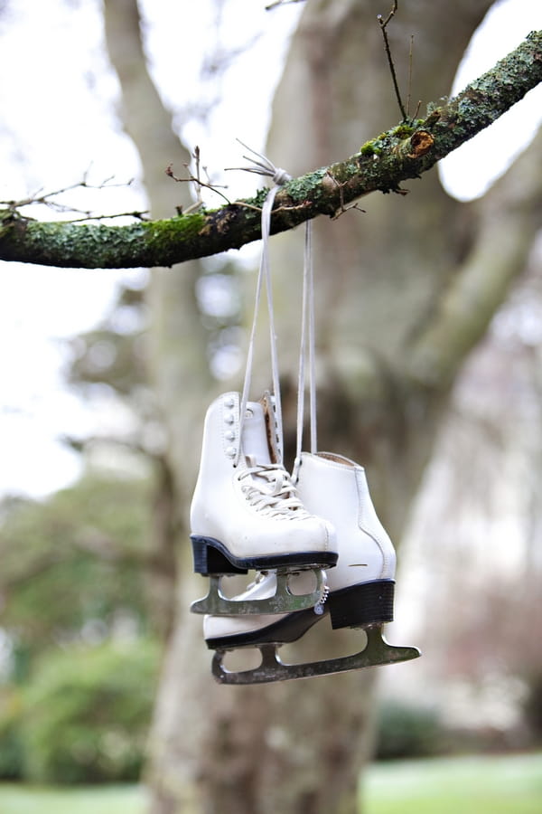 Ice skates hanging from tree