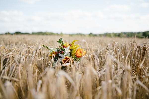 Wedding bouquet in corn field