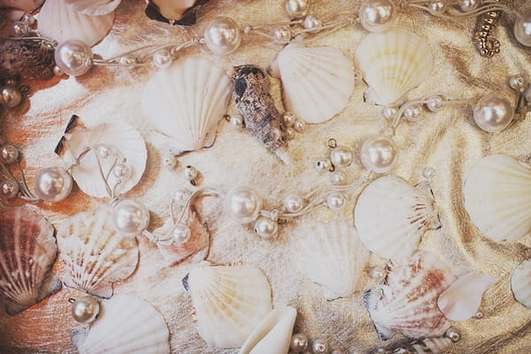 Shells and pearls