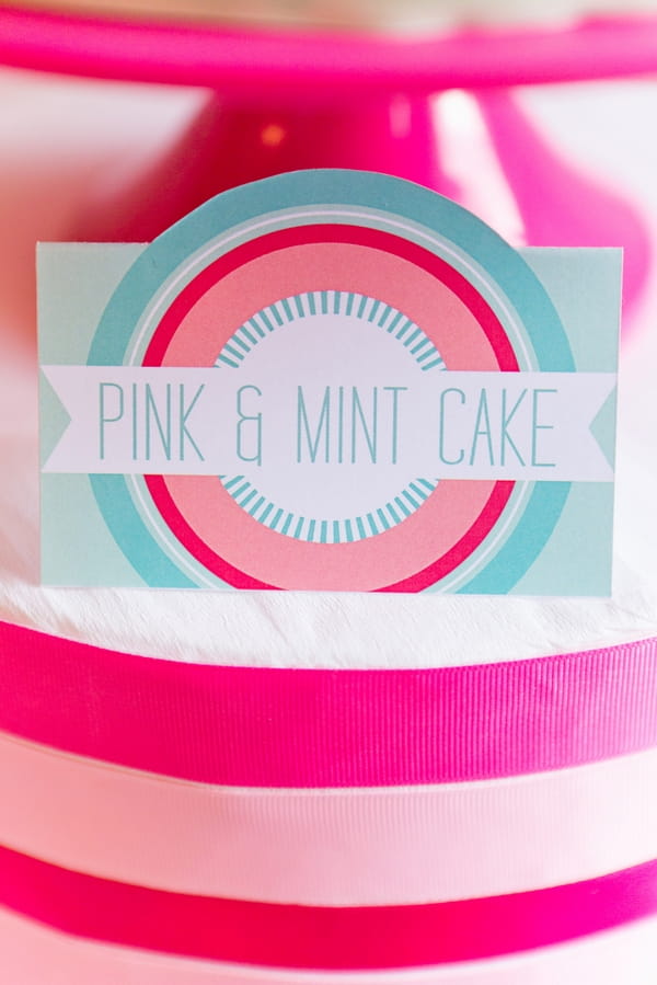 Pink and mint cake label