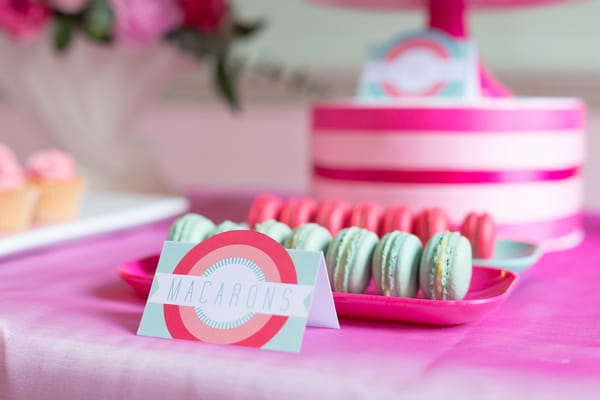 Pink and mint coloured macarons